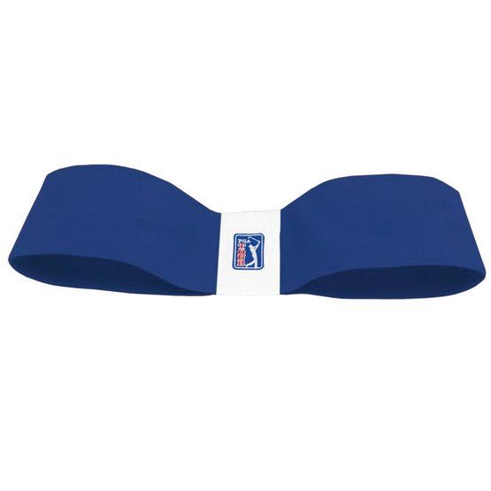 PGA Tour Schwungtrainer blau