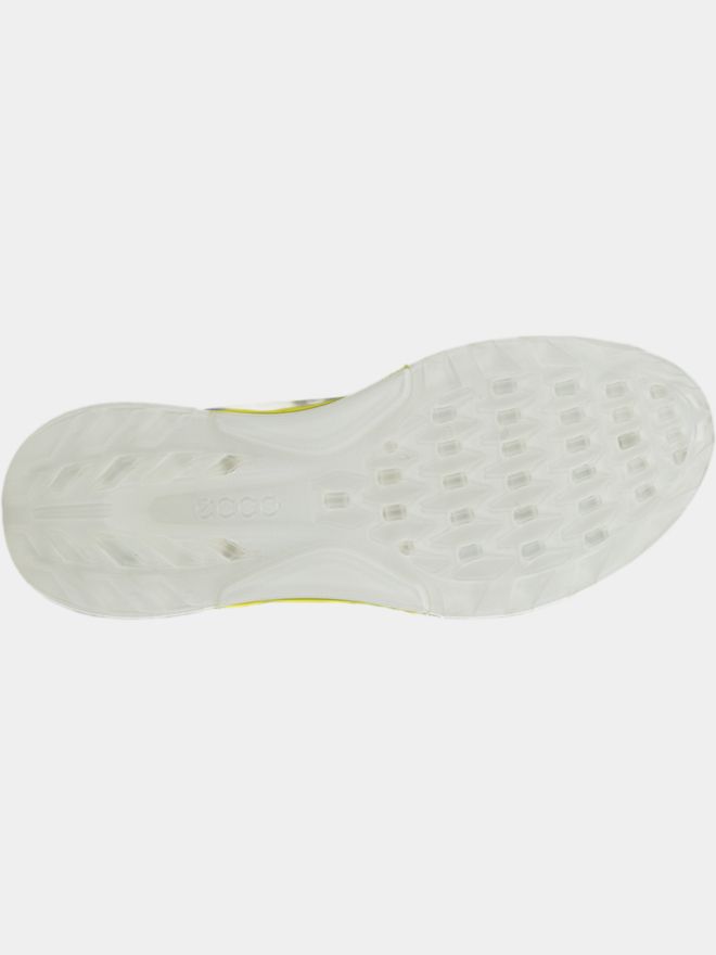 ECCO Biom C4 Golfschuhe grau