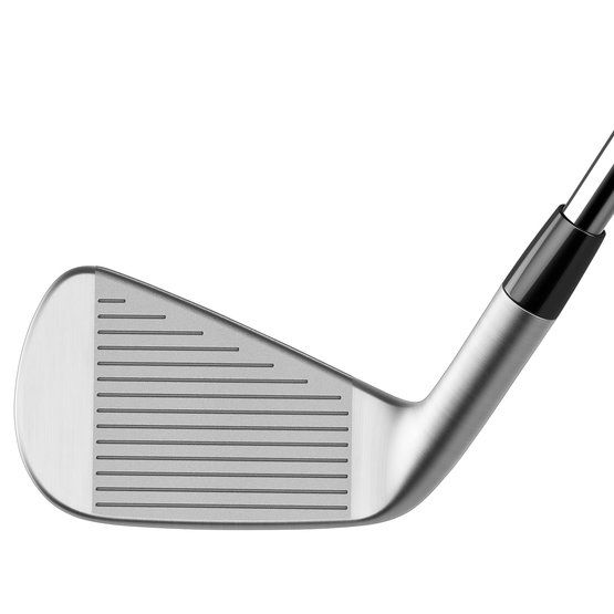 TaylorMade P790 Eisensatz Stahl, Regular