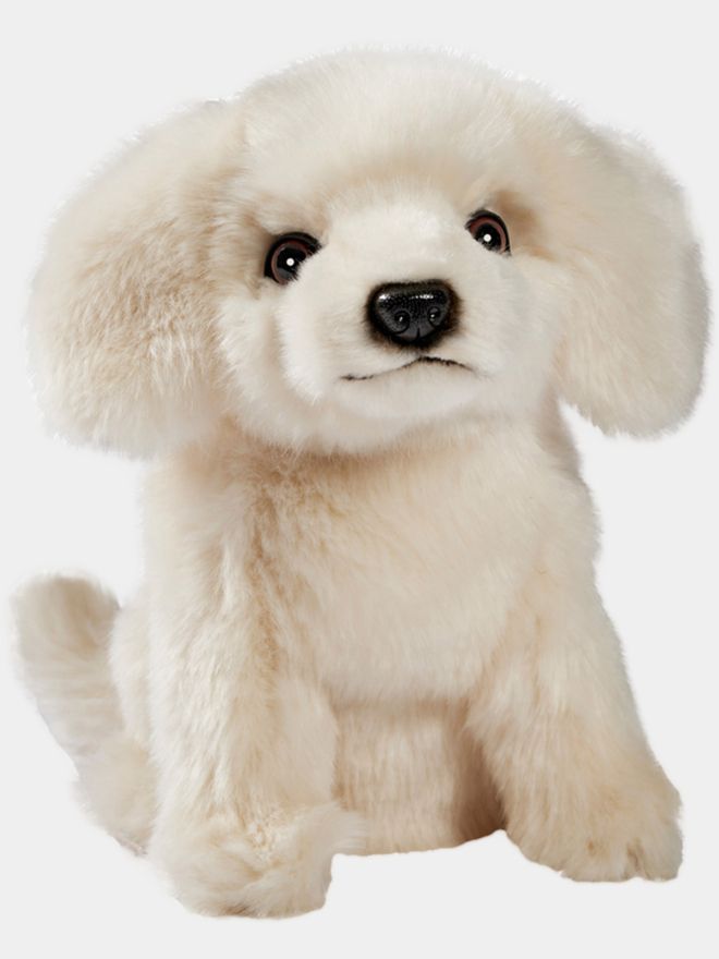 Hansa Creation Golden Retriever FW Headcover beige