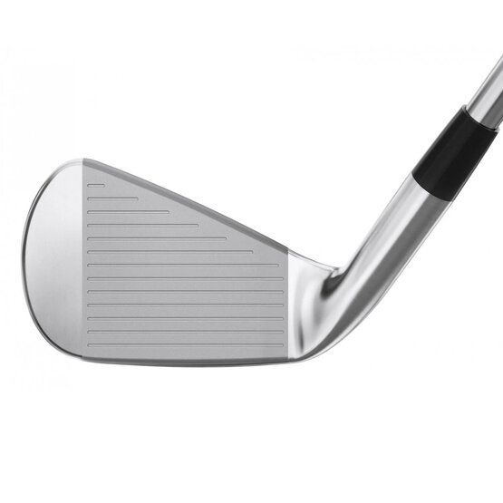 Mizuno Pro 245 Eisen Stahl, Regular