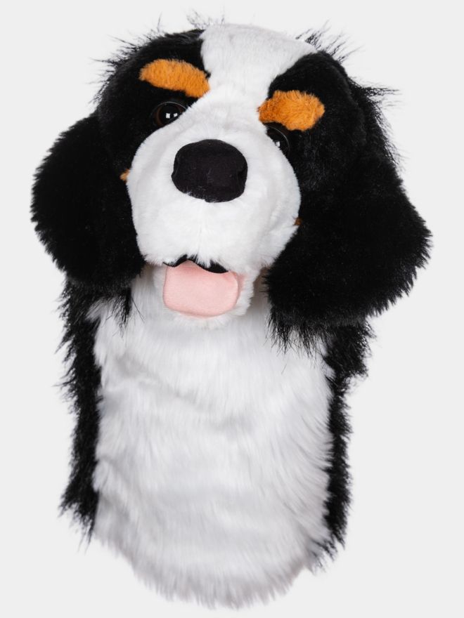 Daphne Driver Headcover jako bernský salašnický pes ostatní