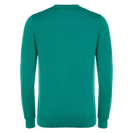 Daniel Springs Basic V-Neck Pullover Strick grün