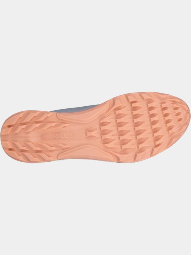 ECCO Biom C4 BOA Golfschuhe grau