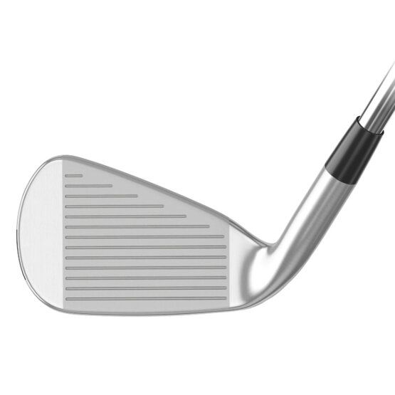 Mizuno  JPX 925 HotMetal Graphite, Regular