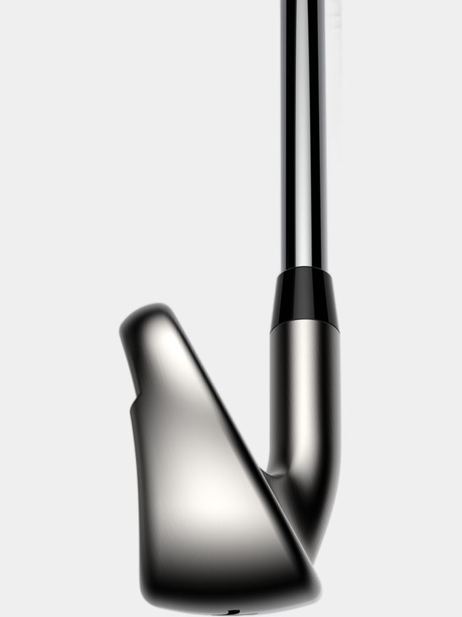 Cobra DS-ADAPT MAX Eisen Graphit, Regular