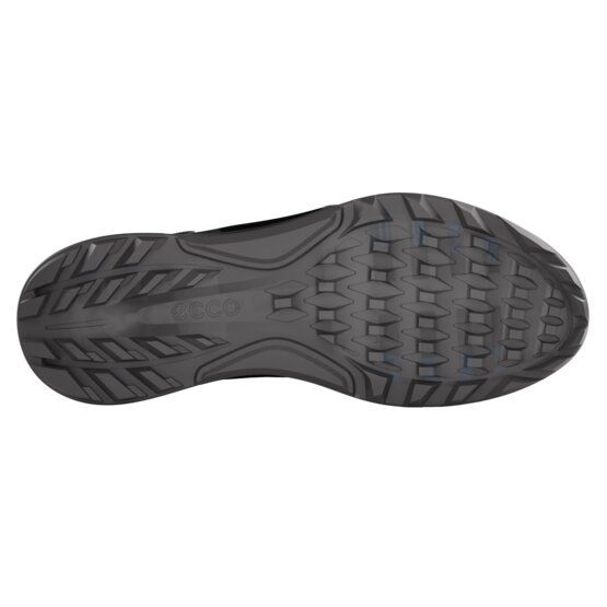 Ecco Biom C4 BOA Golfschuhe schwarz