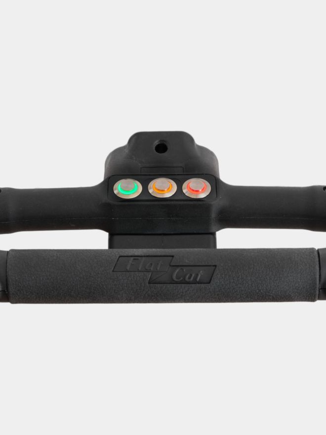 Flat Cat Go Plus Elektrotrolley inkl. kostenlosem Zubehör silber