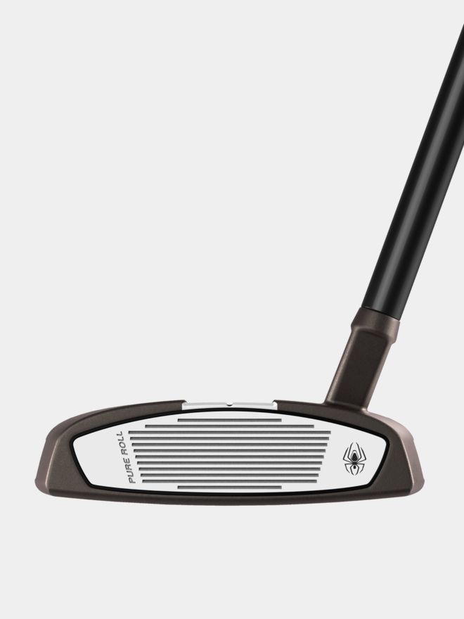 TaylorMade Spider Tour SL Steel