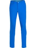 Alberto Rookie - WR Revolutional Chino Hose royal