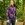 Valiente Jacquard Pullover Strick mehrfarbig Valiente Jacquard Pullover Strick mehrfarbig