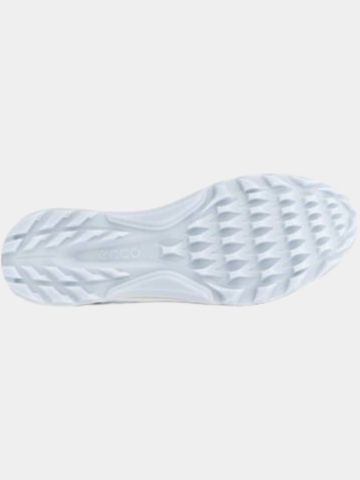 ECCO Golf Biom C4 Golfschuhe blau