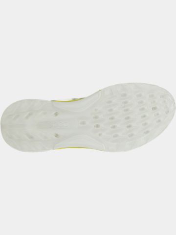 ECCO Biom C4 Golfschuhe grau