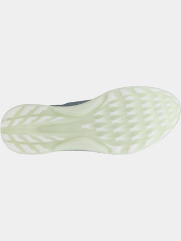 ECCO Golf Biom C4 Golfschuhe grün