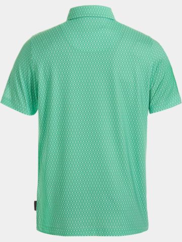 Daniel Springs  Minimal Druck Funktions Halbarm Polo grün