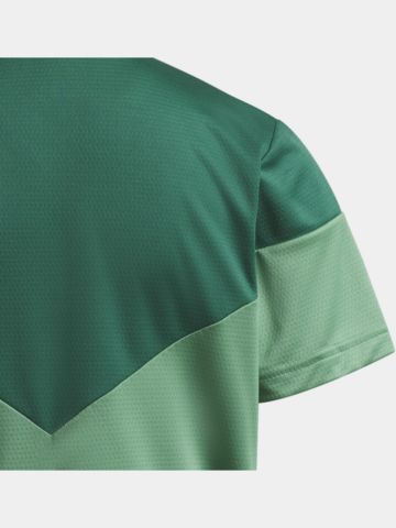 adidas B SPORT POLO grün