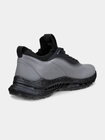 ECCO Biom C5 Golfschuhe grau