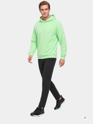 Fire and Ice ILARIO Hoodie Sweatshirt grün