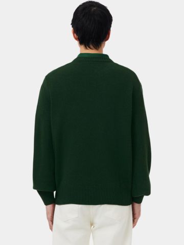 Lacoste CREWNECKS Pullover Strick grün