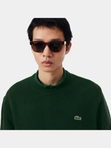 Lacoste CREWNECKS Pullover Strick grün